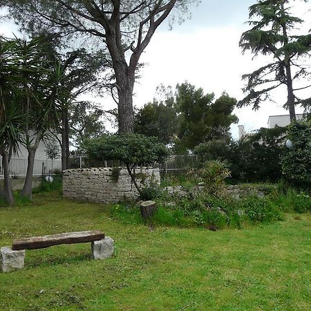 B&B Villa Garden Bisceglie Eksteriør billede