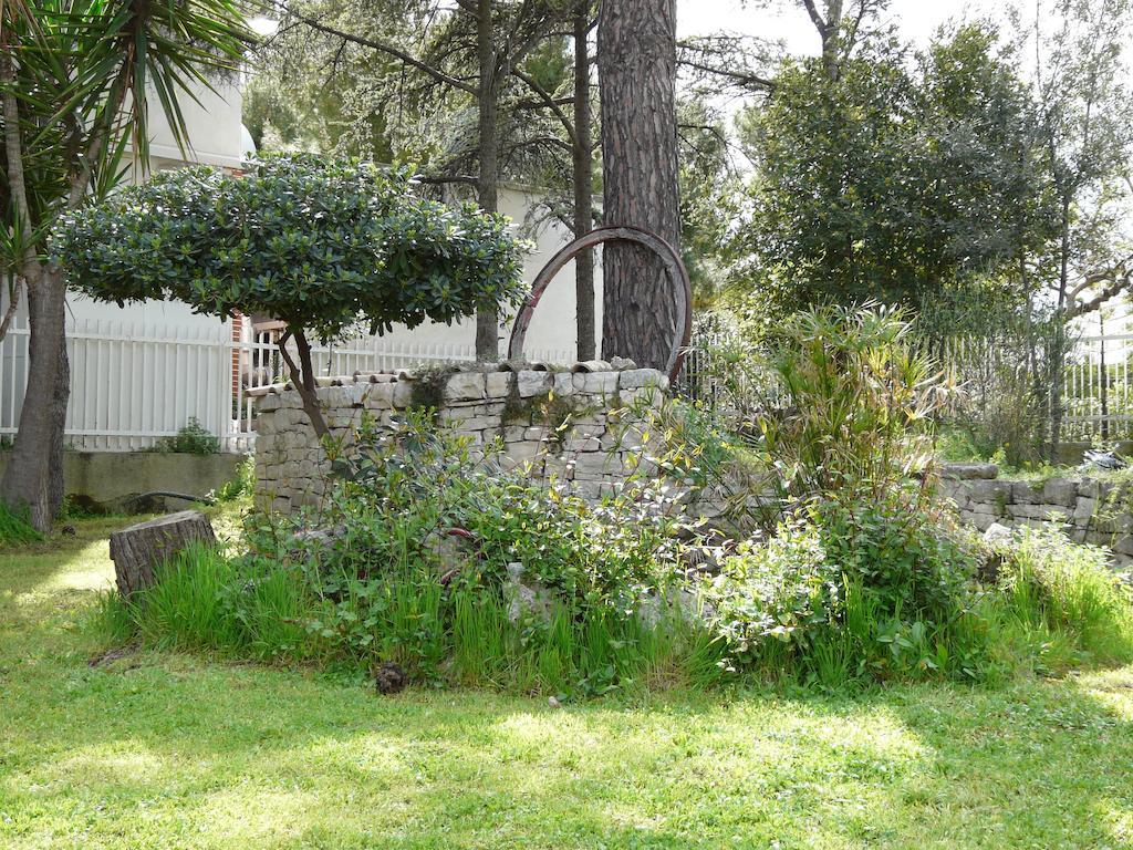 B&B Villa Garden Bisceglie Eksteriør billede